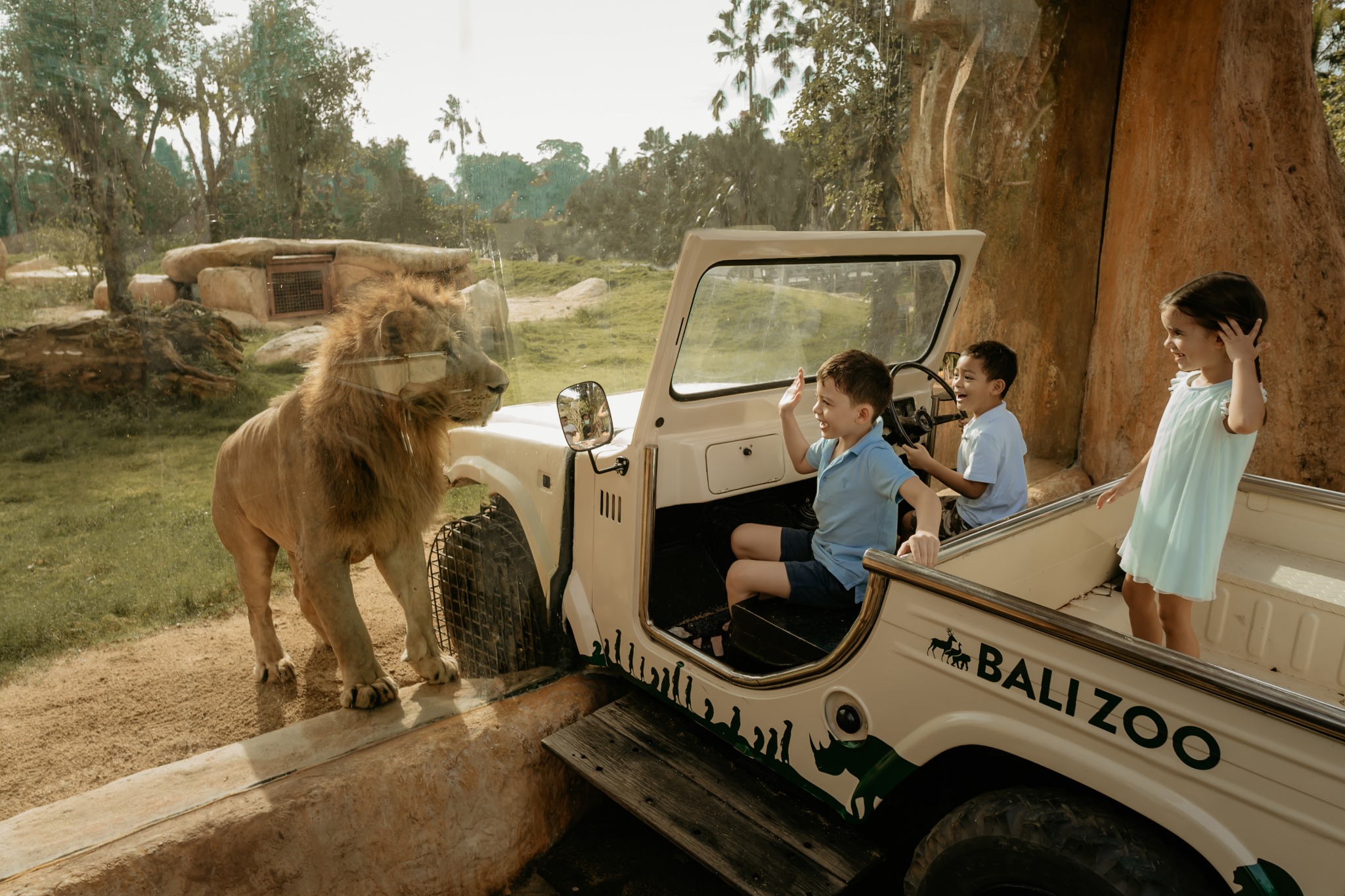 Breakfast with Orangutan at Bali Zoo & Elephant expedition